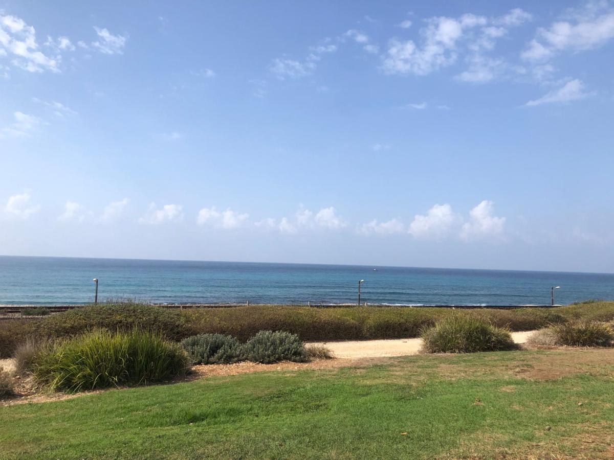 חיפה Carmel Beach Luxury Apartment מראה חיצוני תמונה